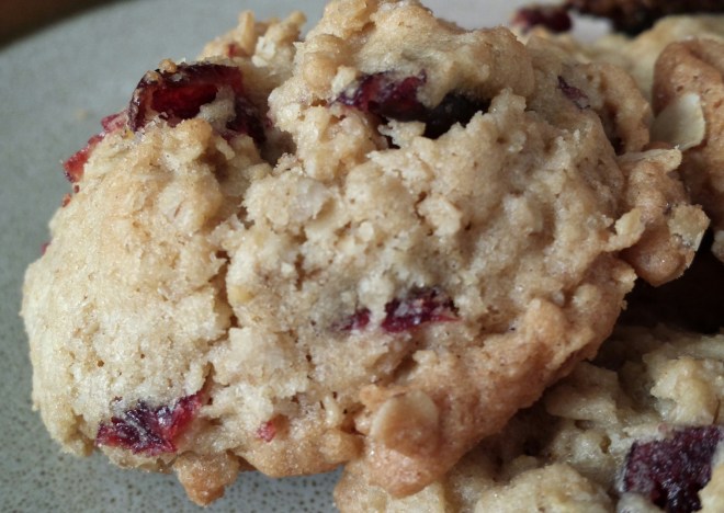 Oatmeal and Cranberry Cookies