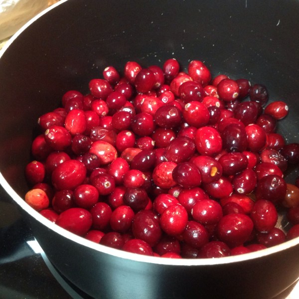 Cranberry Butter Edible Reflections