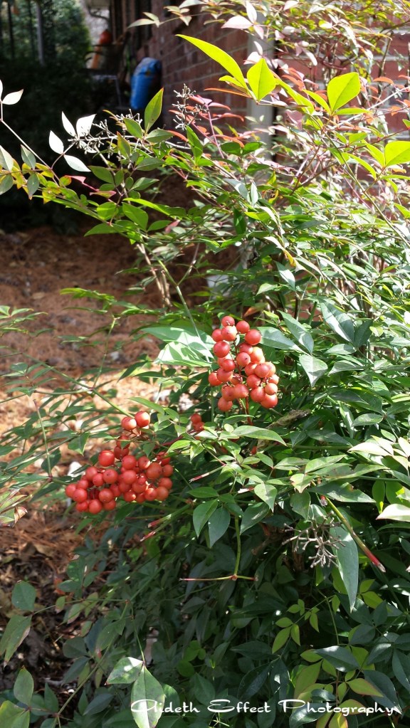 You would think it's 80 degrees on this picture. It's 30! Photography 101: Warmth