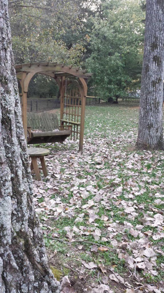 Day 1 Photography 101: Home