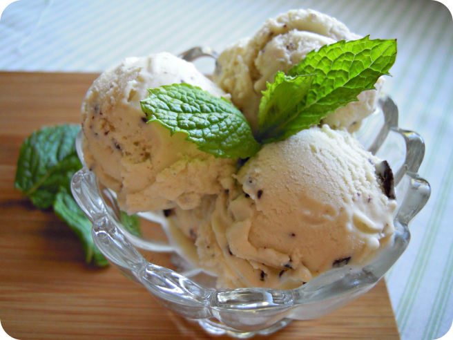 Mint Chocolate Chip Ice Cream by Cake for Thought