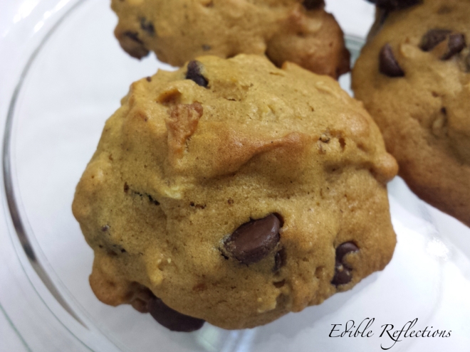 Pumpkin Chocolate Chip & Oatmeal Cookies